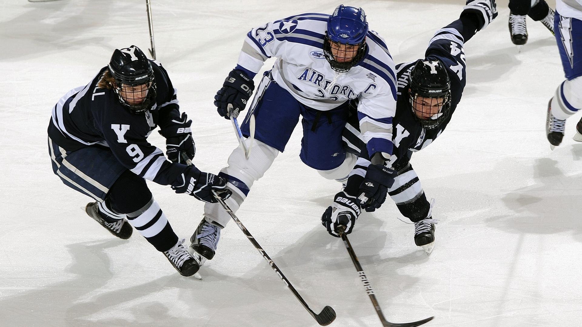 Aster新人快速成长，aster人员调整