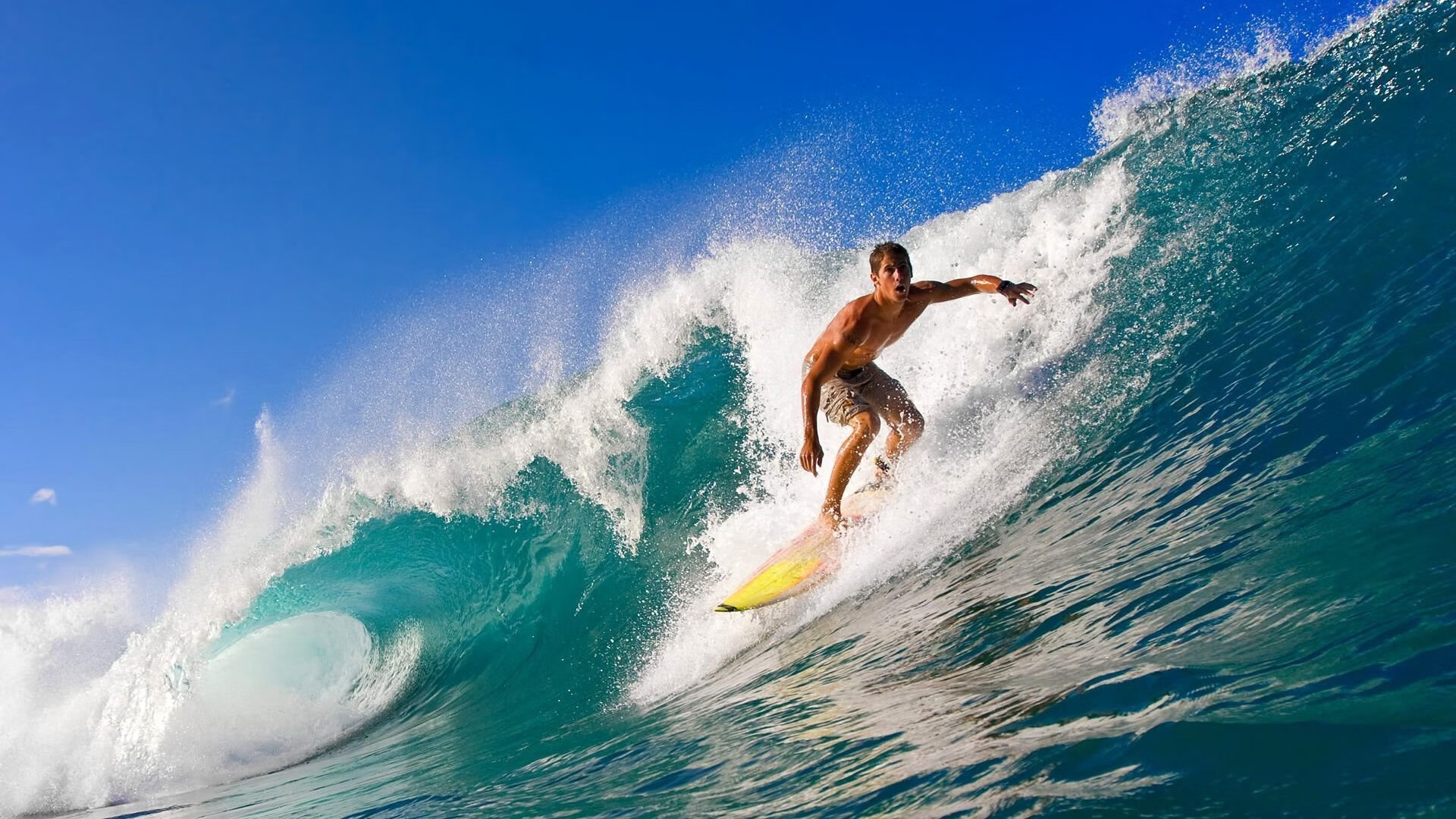 开云投注-保加利亚遭遇挪威绝平，晋级前景渺茫，保加利亚属于北欧吗